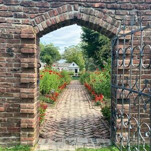 Meet your Posher, Susie